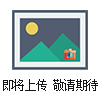A2型浸入式循環(huán)加熱器